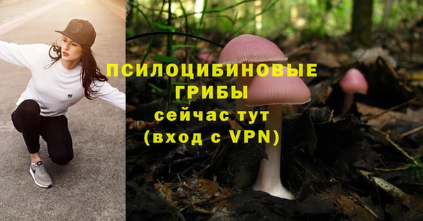 MDMA Армянск