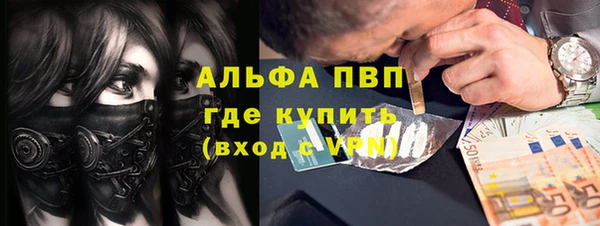 экстази Арсеньев